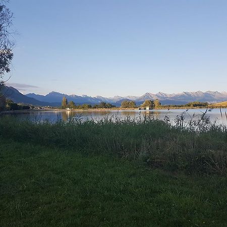 Camping La Motte Flottante La Freissinouse Екстериор снимка