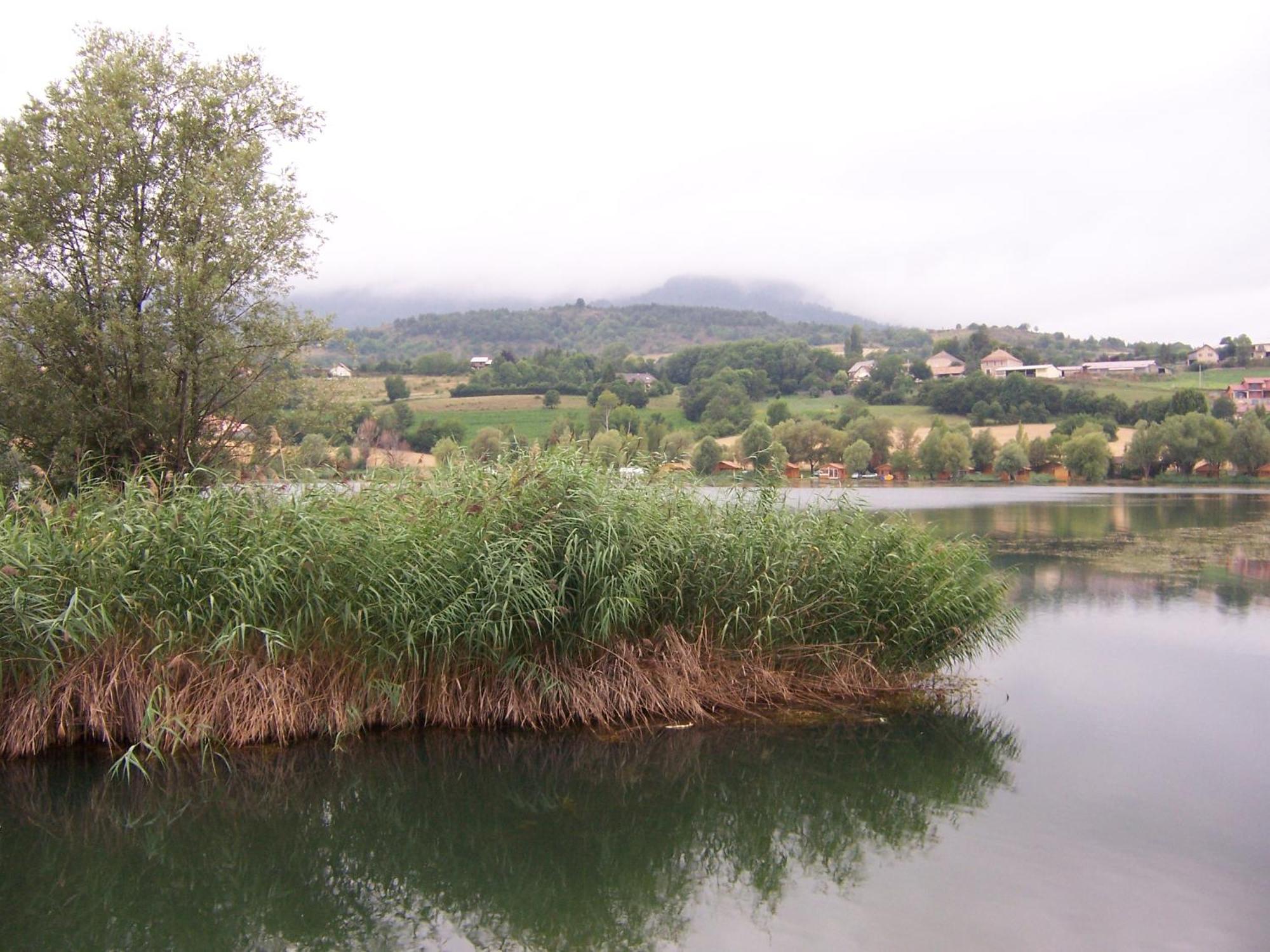 Camping La Motte Flottante La Freissinouse Екстериор снимка