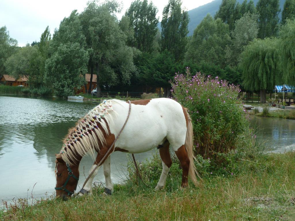 Camping La Motte Flottante La Freissinouse Екстериор снимка