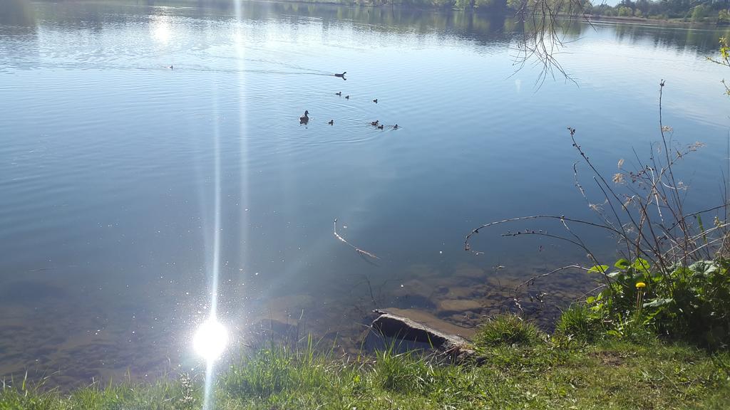 Camping La Motte Flottante La Freissinouse Екстериор снимка